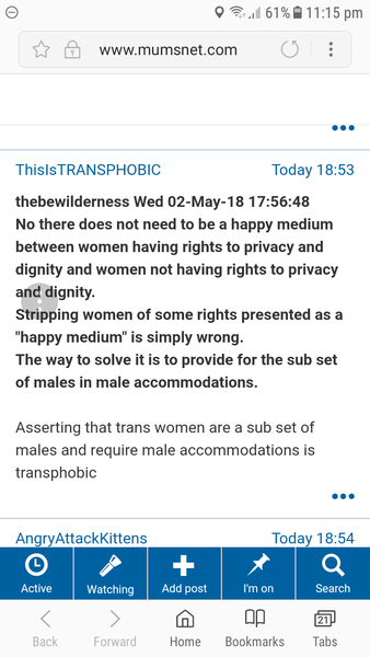 Why is Mumsnet allowing itself to be bullied by Shon Faye?