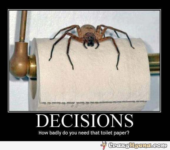 To expect toilet roll to last longer than this?
