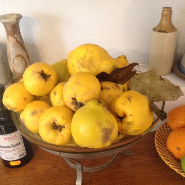 Quinces