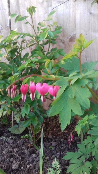 Marching into May, packed lunches all the way ! Join the frugaleers for frugal tips and friendly chat .