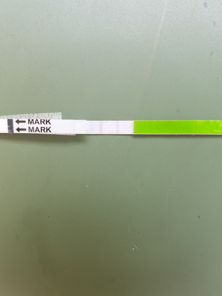 Is this a positive ovulation test?
