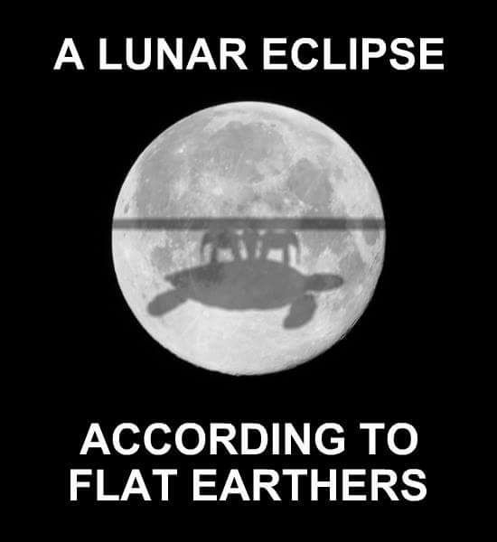 To not understand how some can believe the earth is flat?