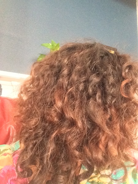 Starting Curly Girl Method - join me in achieving shiny bouncy hair!