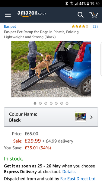 Recommendations for a car ramp for dogs