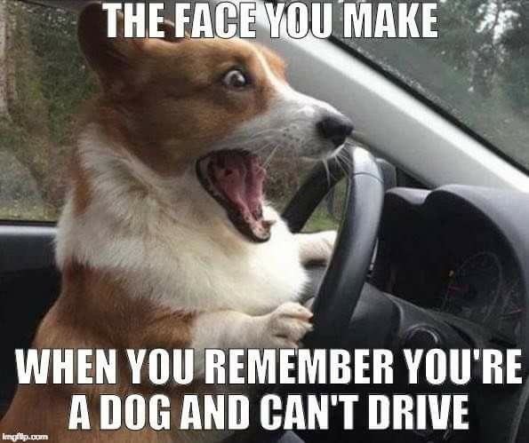 To wonder why people 'don't drive'