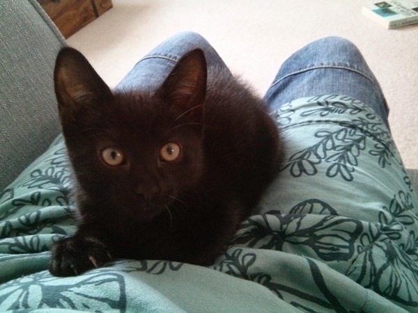 So, erm, Enid’s a boy...