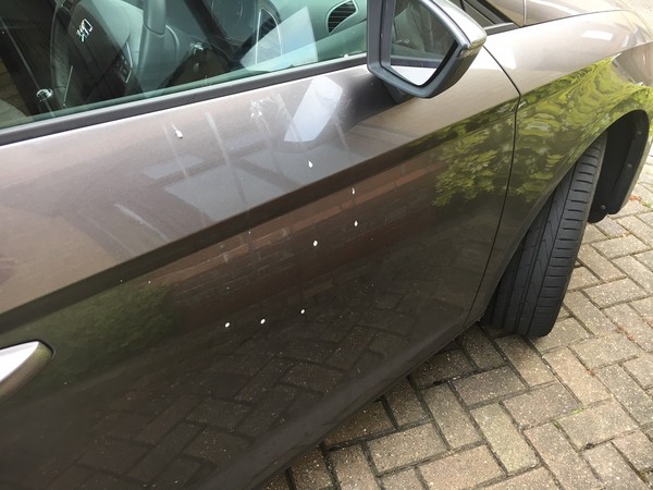 To want this bird to leave my car wing mirrors alone and stop shitting on my car