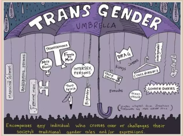 Meet the man standing to be a Labour party women’s officer