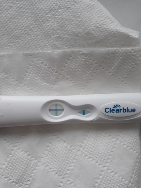 Due January 2019