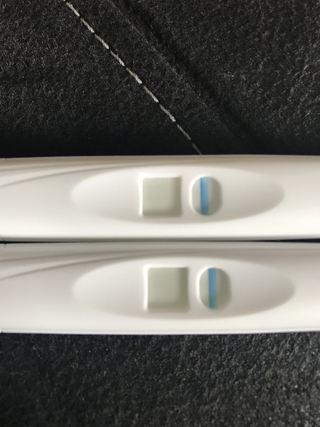 TTC after Pregnancy Loss Thread 20 - Fx for 2019 babies