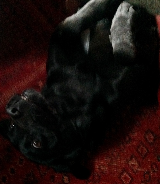 I Am Being Unreasonable (Sorry!)
