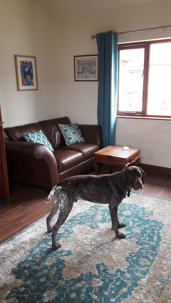 What colour living room walls (pic included)?