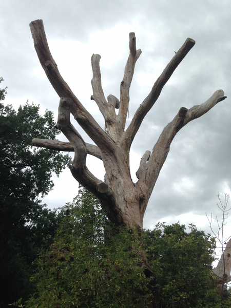 Photos taken on your cycle.