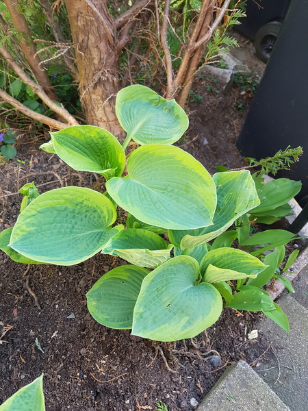 Another what's this please?