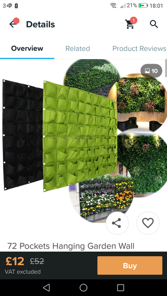 Can I plant sweet peas in this?