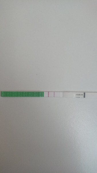 Am i ovulating?