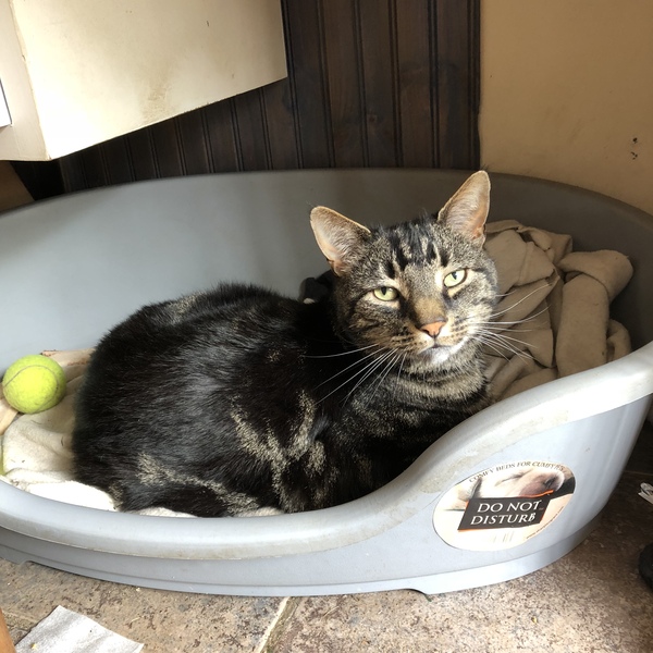 Thread 2! Woolly Hugs. Chernobyl 2018 is HERE!!!