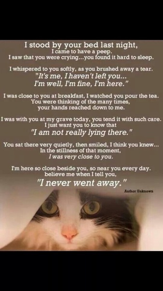 My beautiful girl has been killed