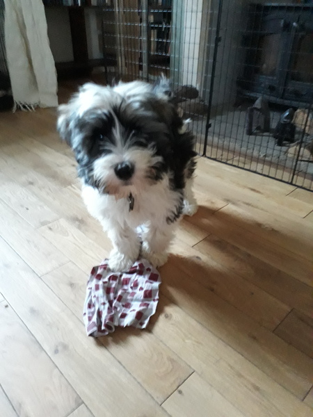 16wks - surely I should be allowed to sleep now?