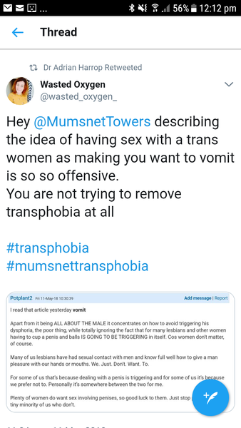 The erasure of lesbians by the transcult - 'How to have lesbian sex with a transwoman' NSFW