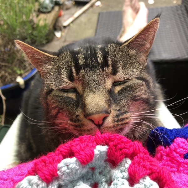 Woolly Hugs. Chernobyl 2018 is HERE!!!