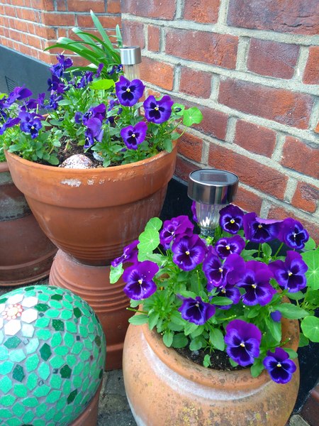 Tips to make house more desirable for viewing