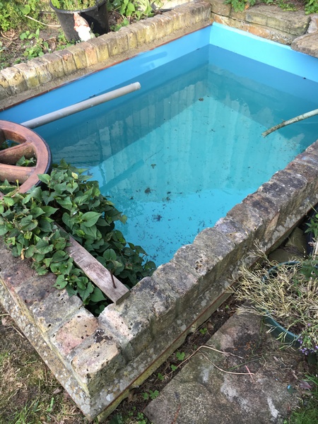New garden and not a clue what I’m doing!