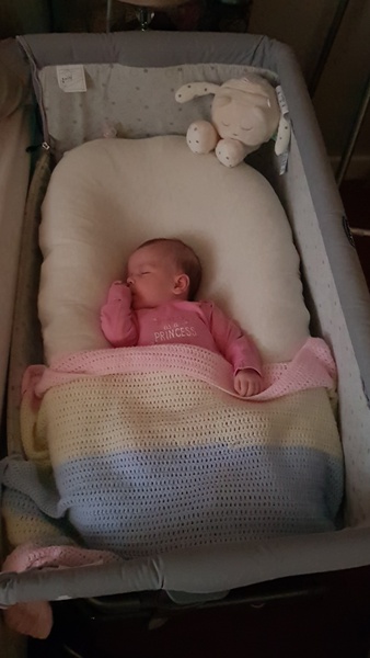 Myhummy or Ewan The Dream Sheep?!