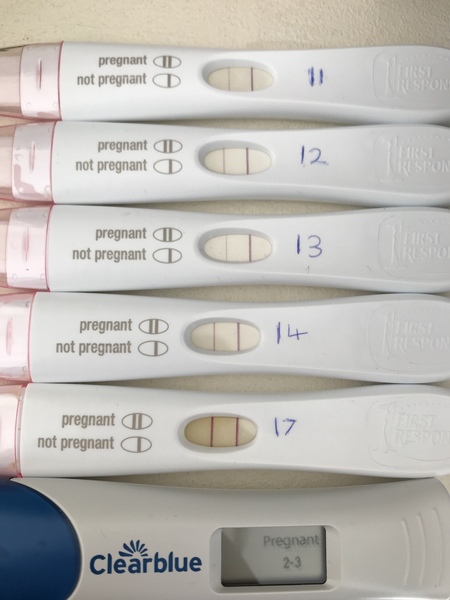 Bfp at 11dpo big lighter at 13dpo. So scared.