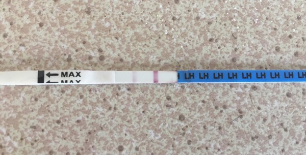 Can anyone help with opk questions?