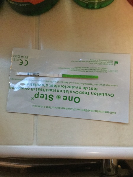 TTC after Pregnancy Loss Thread 20 - Fx for 2019 babies