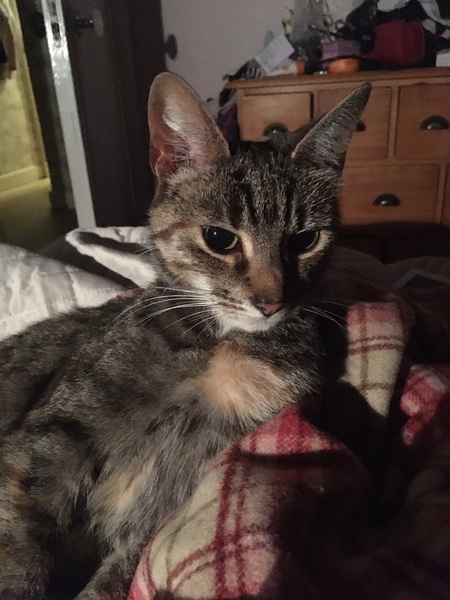 My darling girl was killed last night