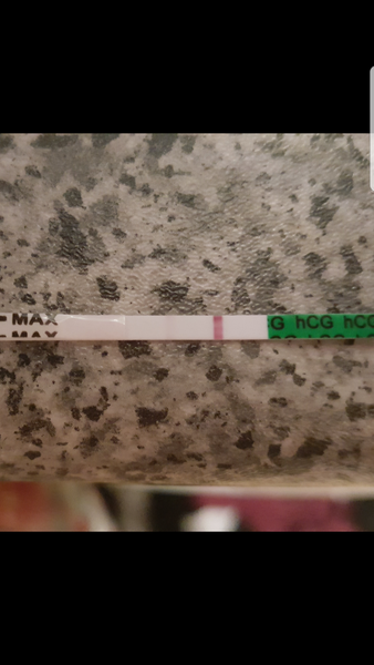 Do you have pictures of your positive pregnancy tests?