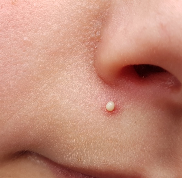 Birthday present from my son *klaxon*