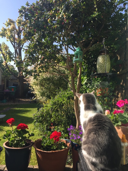 Thread 2! Woolly Hugs. Chernobyl 2018 is HERE!!!