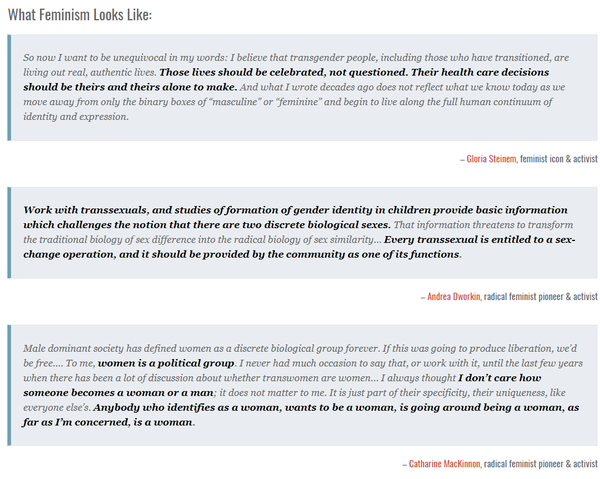 Strong words from feminists unhappy with trans exclusionary ideology..