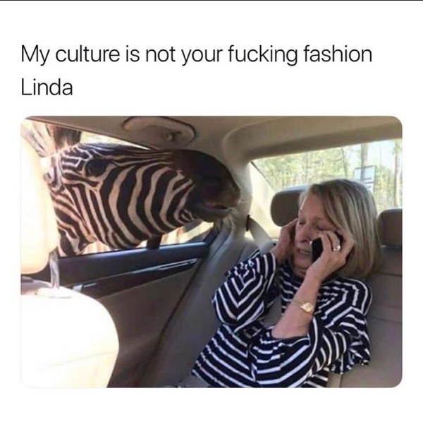 AIBU to ask you to explain cultural appropriation and why it is bad to me