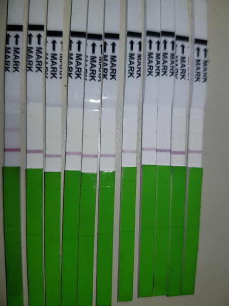 TTC after Pregnancy Loss Thread 20 - Fx for 2019 babies