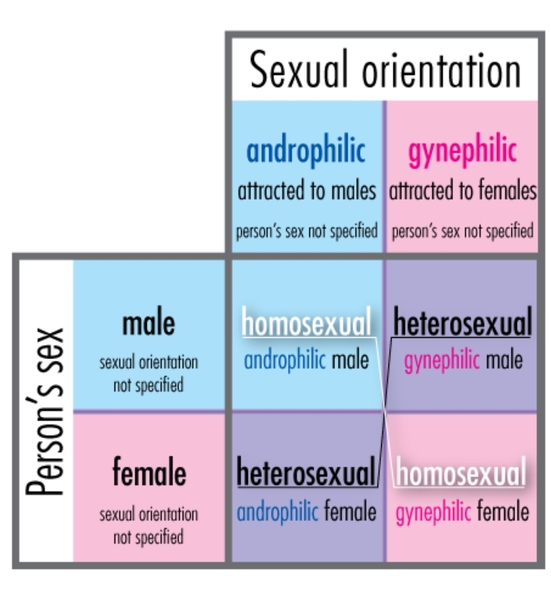 Strong words from feminists unhappy with trans exclusionary ideology..