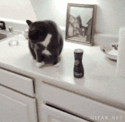 To not understand how some can believe the earth is flat?