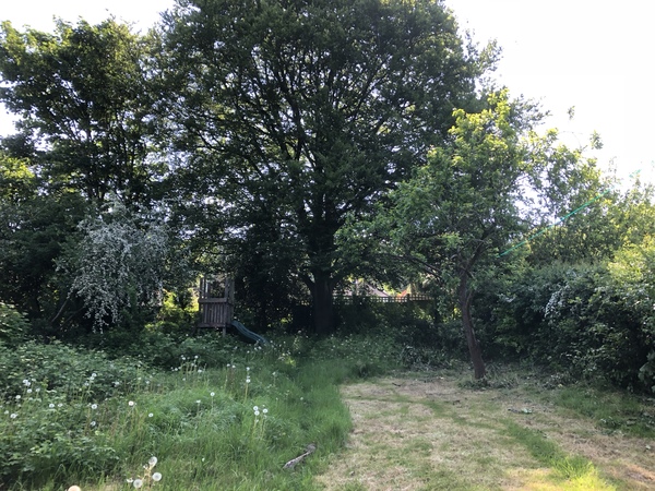 Do you judge people who don't mow or weed their lawn?