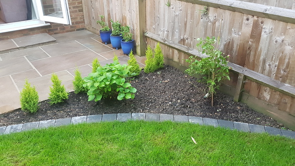 Help me fill up my new flowerbeds please