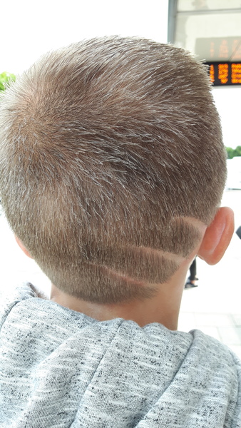 AIBU to not want my DS to have this hairstyle?