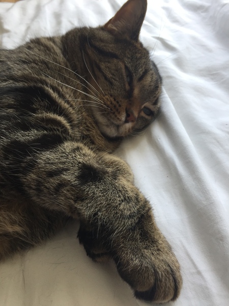 May Making Money Go Frugally Further