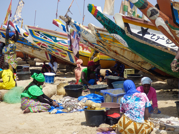 Gambia - anyone been?