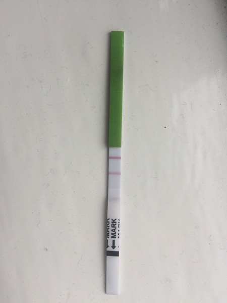 OPK test are these positive?