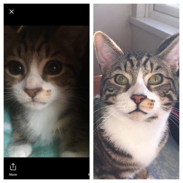 My handsome boy is 1 year old