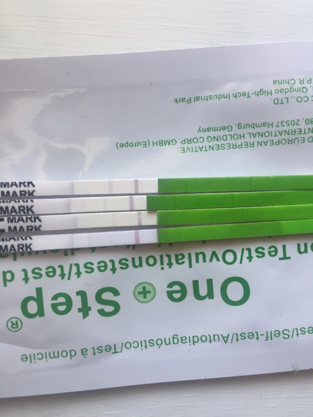 TTC after Pregnancy Loss Thread 20 - Fx for 2019 babies