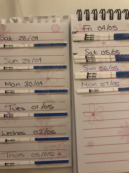 TTC after a M/C - is it possible to ovulate when there is HCG in your system?