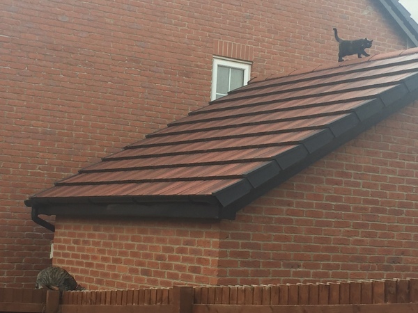 Outdoor cats or indoor cats?